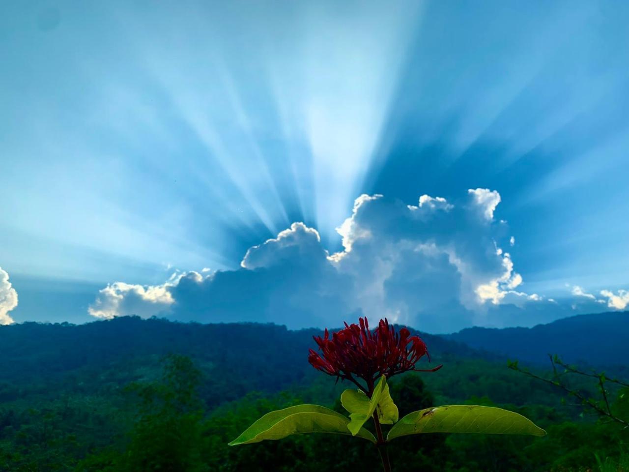 Pu Luong Cuisine Garden Homestay Lang Bang Εξωτερικό φωτογραφία