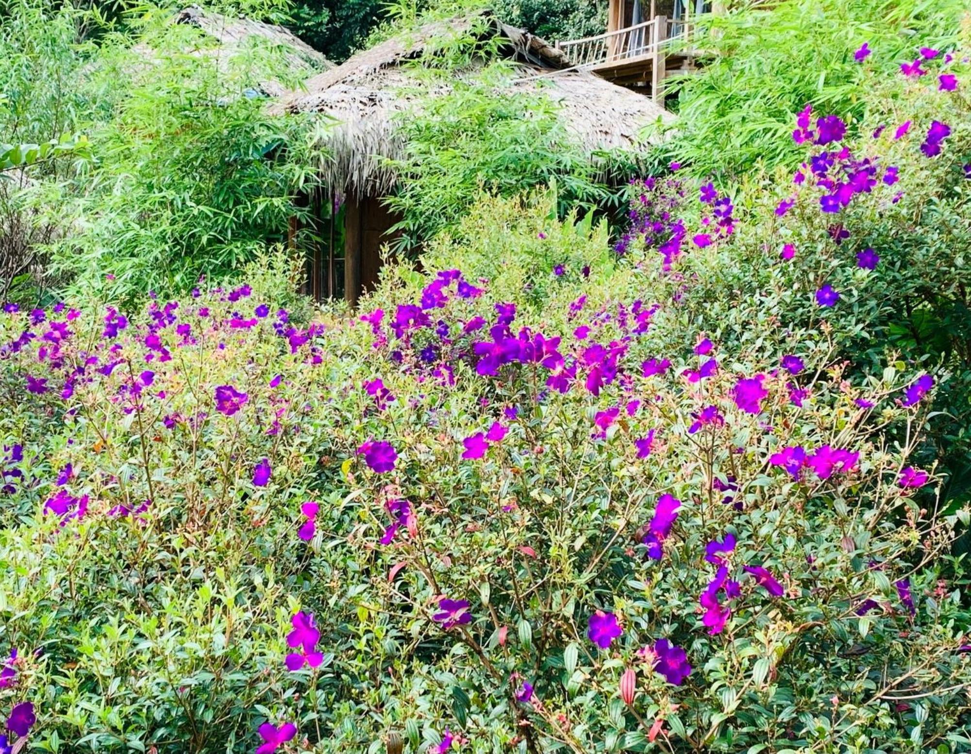 Pu Luong Cuisine Garden Homestay Lang Bang Εξωτερικό φωτογραφία